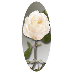 White Rose Stem (Matthews) decal for casket or coffin.